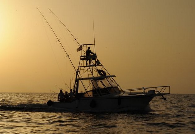 Trolling fiske - Cavalier & Blue Marlin Sport Fishing Gran Canaria