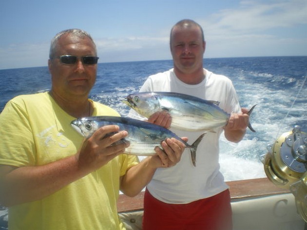 Skipjack tonfisk - Cavalier & Blue Marlin Sport Fishing Gran Canaria