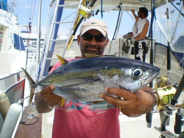 Gulfenad tonfisk - Cavalier & Blue Marlin Sport Fishing Gran Canaria