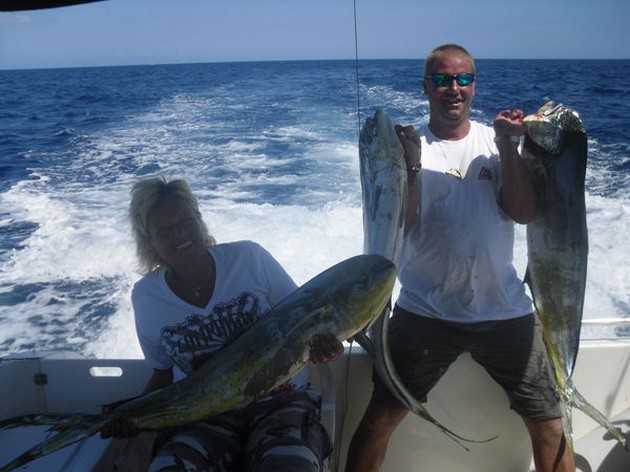 Dorado's - Cavalier & Blue Marlin Sport Fishing Gran Canaria