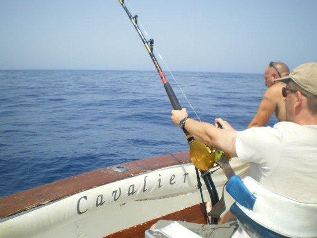 2 Blues släppt - Cavalier & Blue Marlin Sport Fishing Gran Canaria