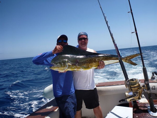 Dorado - Cavalier & Blue Marlin Sport Fishing Gran Canaria