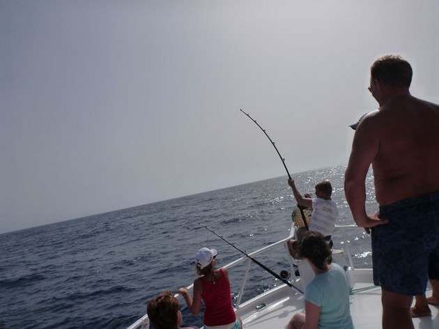 Yellowfin tunfiskar - Cavalier & Blue Marlin Sport Fishing Gran Canaria