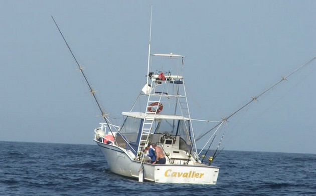 Spela in Wahoo - Cavalier & Blue Marlin Sport Fishing Gran Canaria