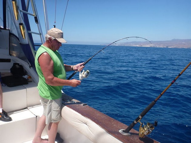 Ängelhaj - Cavalier & Blue Marlin Sport Fishing Gran Canaria