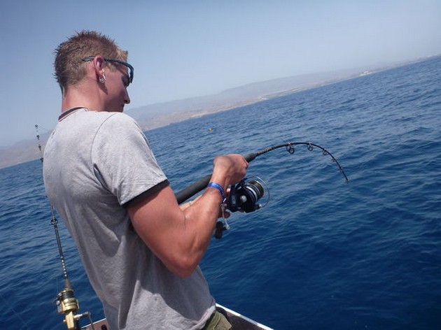 Ängelhaj - Cavalier & Blue Marlin Sport Fishing Gran Canaria