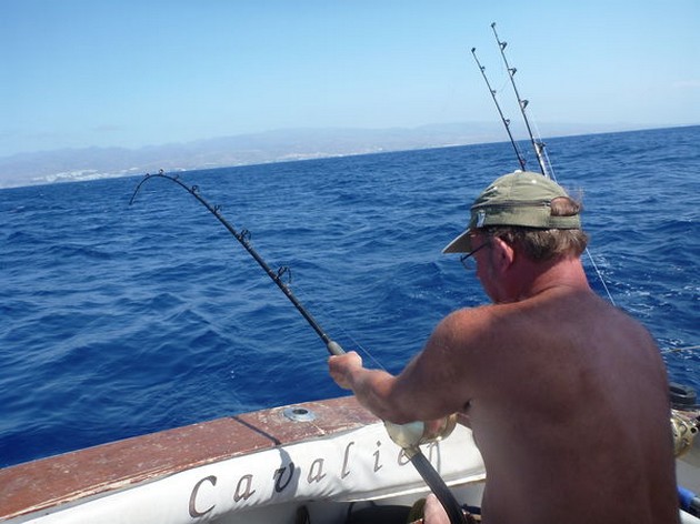 Dubbel rubrik - Cavalier & Blue Marlin Sport Fishing Gran Canaria