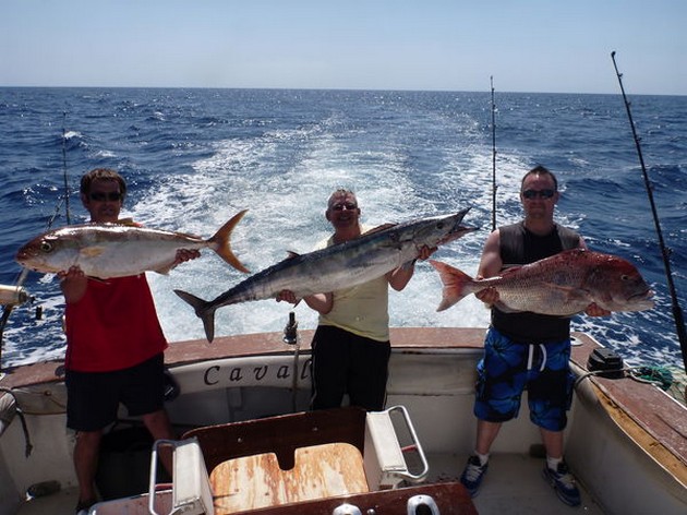 Stor fångst - Cavalier & Blue Marlin Sport Fishing Gran Canaria