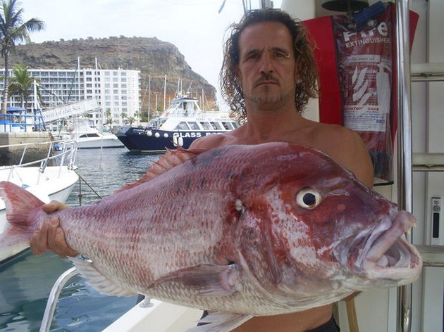 2 Förnyade poster - Cavalier & Blue Marlin Sport Fishing Gran Canaria