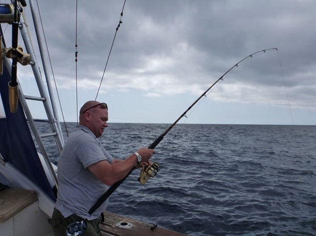 AMBERJACKS OCH RÖDA SNAPPAR Två Amberjacks med vikter - Cavalier & Blue Marlin Sport Fishing Gran Canaria