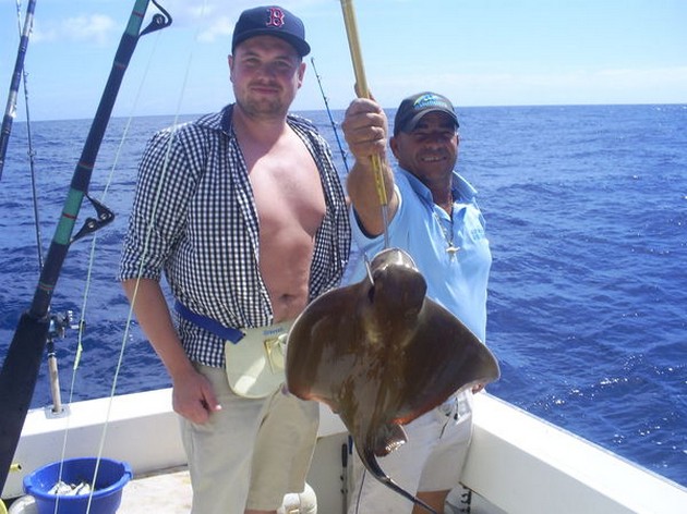 Eagle Rays - Cavalier & Blue Marlin Sport Fishing Gran Canaria