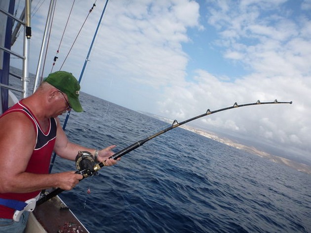 Änglar haj - Cavalier & Blue Marlin Sport Fishing Gran Canaria