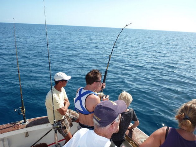 Barracuda - Cavalier & Blue Marlin Sport Fishing Gran Canaria