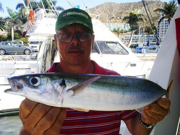 2 Förnyade poster - Cavalier & Blue Marlin Sport Fishing Gran Canaria