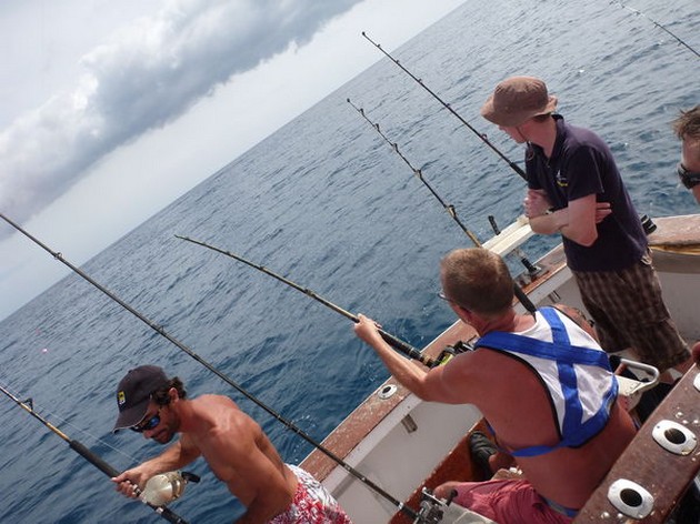 Ängelhajar - Cavalier & Blue Marlin Sport Fishing Gran Canaria