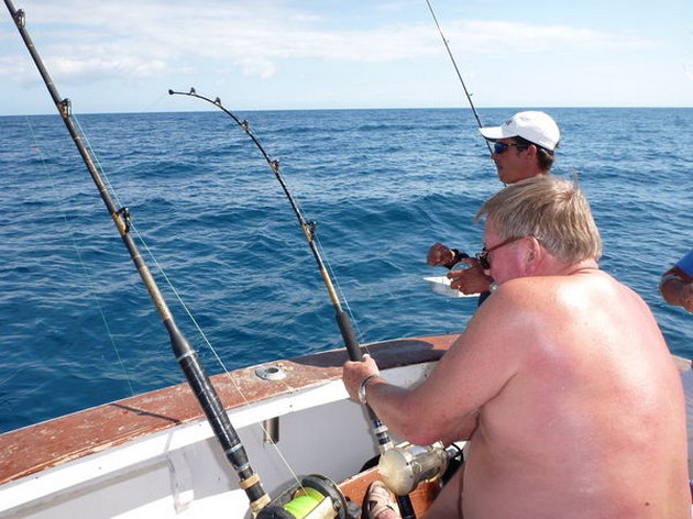 Barracuda - Cavalier & Blue Marlin Sport Fishing Gran Canaria