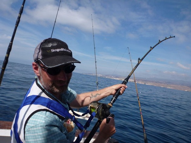 Big Sting Rays - Cavalier & Blue Marlin Sport Fishing Gran Canaria