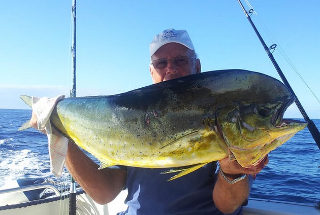 Dorado's - Cavalier & Blue Marlin Sport Fishing Gran Canaria