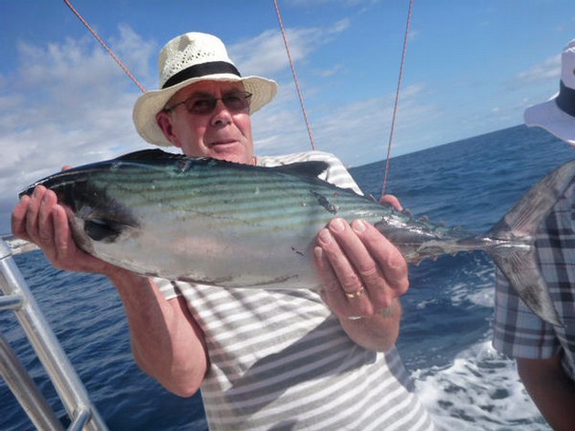 Röda snappers - Cavalier & Blue Marlin Sport Fishing Gran Canaria