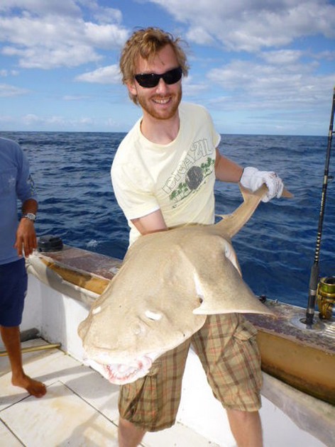 Ängelhaj - Cavalier & Blue Marlin Sport Fishing Gran Canaria