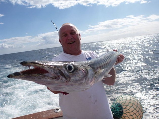 Garpike - Cavalier & Blue Marlin Sport Fishing Gran Canaria