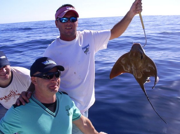 Ängelhaj - Cavalier & Blue Marlin Sport Fishing Gran Canaria