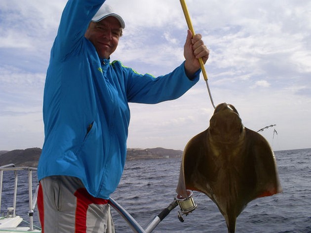 Roughtail Stingray - Cavalier & Blue Marlin Sport Fishing Gran Canaria