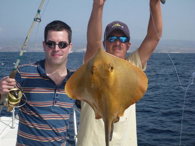 Common Stingray Cavalier & Blue Marlin Sport Fishing Gran Canaria