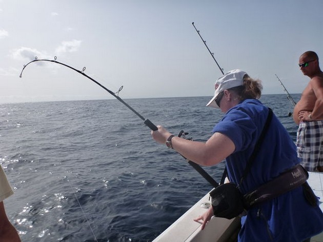 Bra fångster - Cavalier & Blue Marlin Sport Fishing Gran Canaria