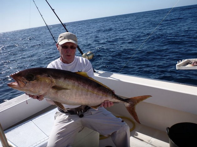 Amberjacks - Cavalier & Blue Marlin Sport Fishing Gran Canaria