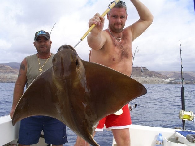 Angelsharks - Cavalier & Blue Marlin Sport Fishing Gran Canaria