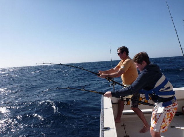 Bra fiske - Cavalier & Blue Marlin Sport Fishing Gran Canaria