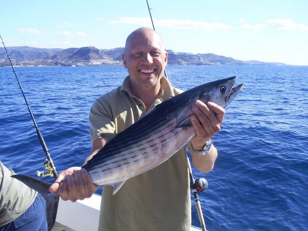 Ängelhajar - Cavalier & Blue Marlin Sport Fishing Gran Canaria