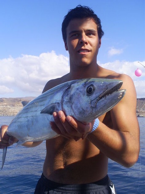 Atlantisk Sierra tonfisk - Cavalier & Blue Marlin Sport Fishing Gran Canaria