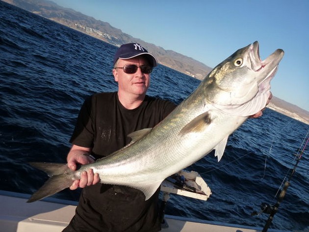 Kingfish - Cavalier & Blue Marlin Sport Fishing Gran Canaria