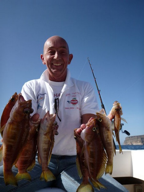 Combers - Cavalier & Blue Marlin Sport Fishing Gran Canaria