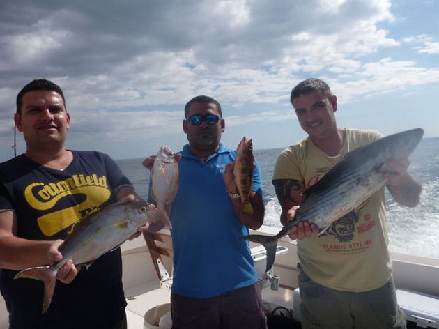 Bra fångster - Cavalier & Blue Marlin Sport Fishing Gran Canaria