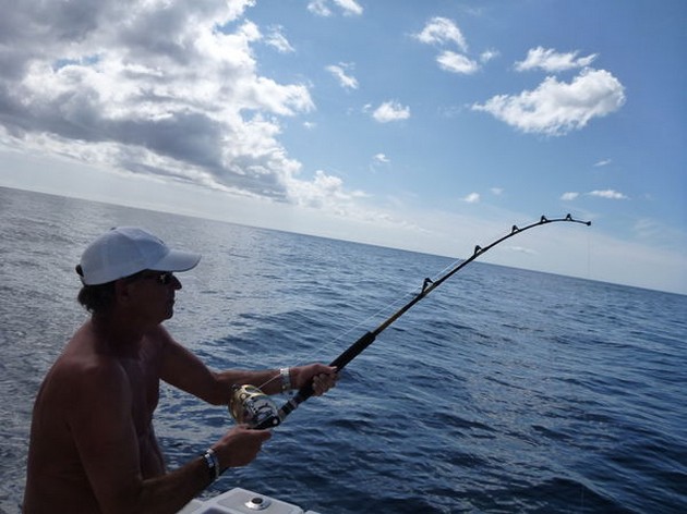 Många strålar - Cavalier & Blue Marlin Sport Fishing Gran Canaria