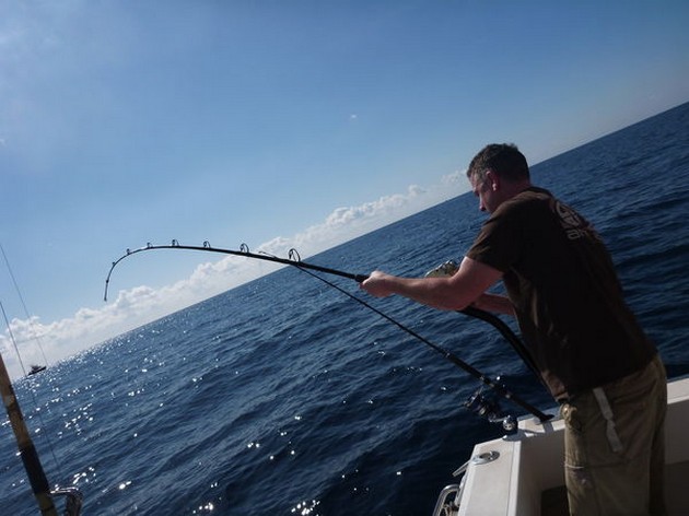 Röda snappers - Cavalier & Blue Marlin Sport Fishing Gran Canaria