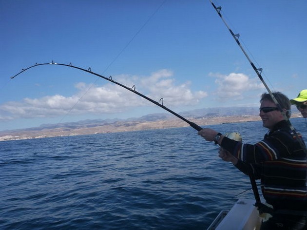 Bra fångster - Cavalier & Blue Marlin Sport Fishing Gran Canaria