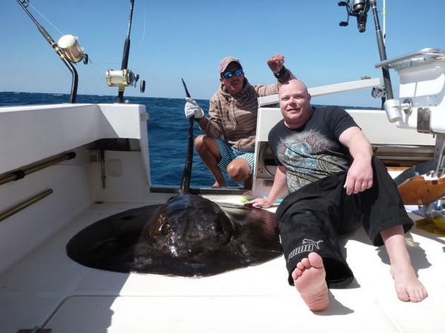 Rund stingray - Cavalier & Blue Marlin Sport Fishing Gran Canaria