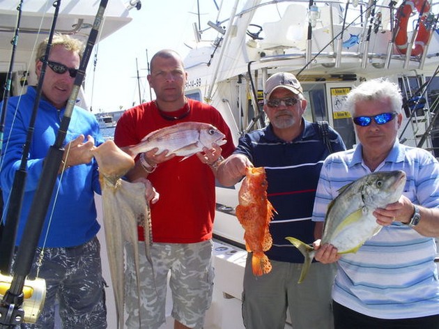 Bra fångster - Cavalier & Blue Marlin Sport Fishing Gran Canaria