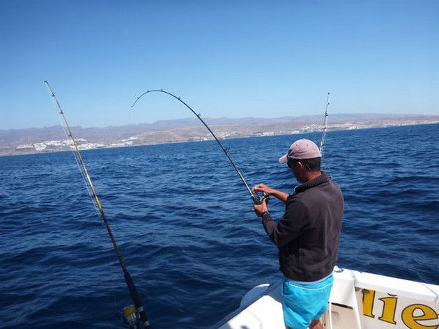 Hooked Up Cavalier & Blue Marlin Sport Fishing Gran Canaria