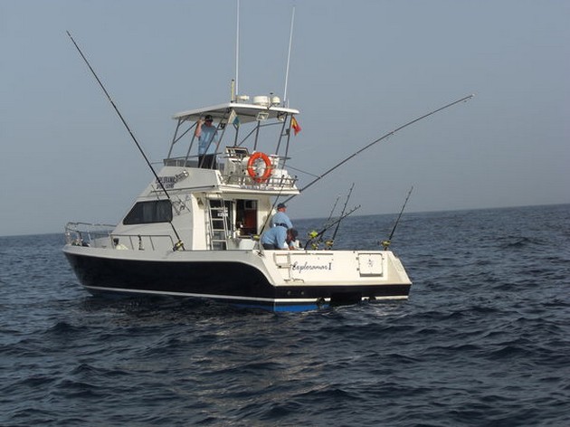 Scorpion Fish - Cavalier & Blue Marlin Sport Fishing Gran Canaria