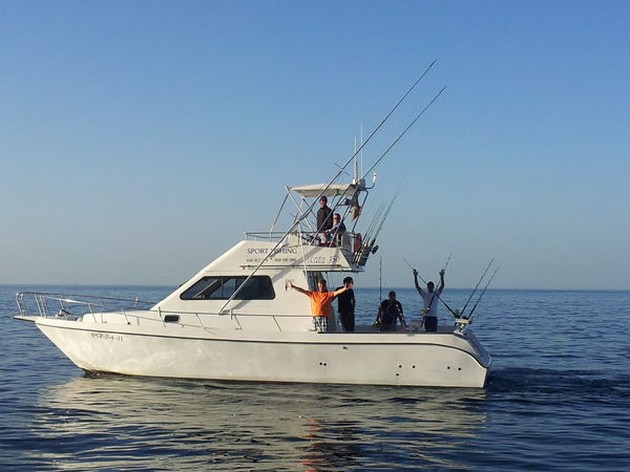 Vanliga stingrays - Cavalier & Blue Marlin Sport Fishing Gran Canaria