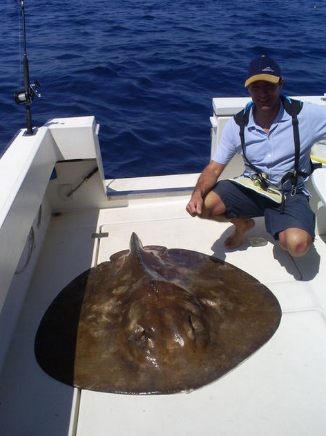 RUND STINGRAY Besättningen på EXPLORAMAR hade delat - Cavalier & Blue Marlin Sport Fishing Gran Canaria