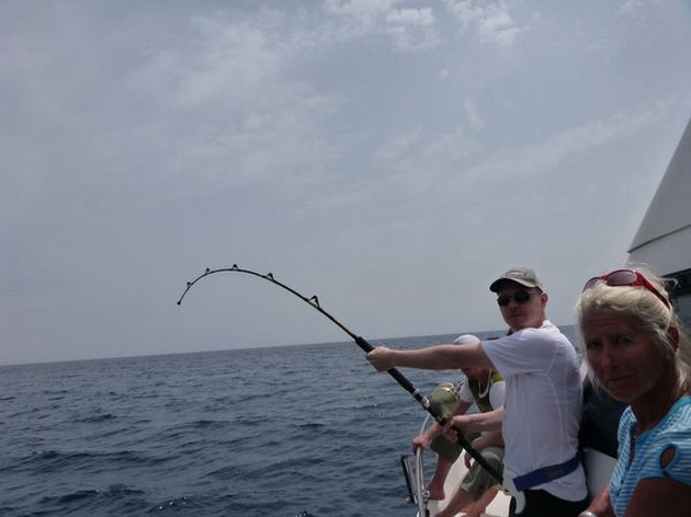 90 kg Stingray - Cavalier & Blue Marlin Sport Fishing Gran Canaria