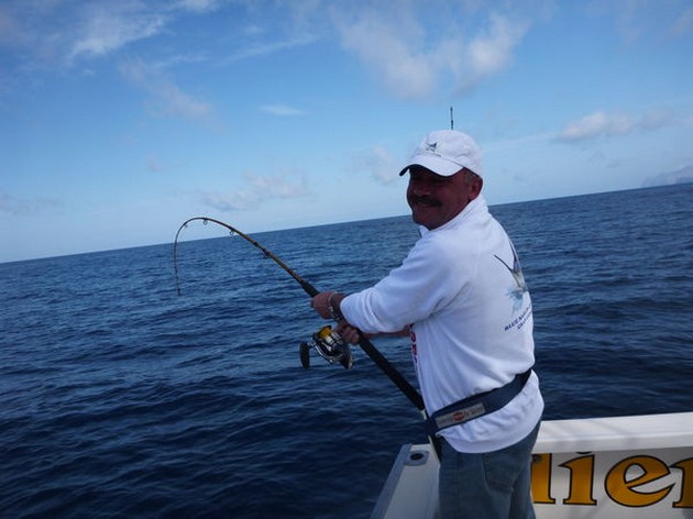 Vanliga Sting Rays - Cavalier & Blue Marlin Sport Fishing Gran Canaria