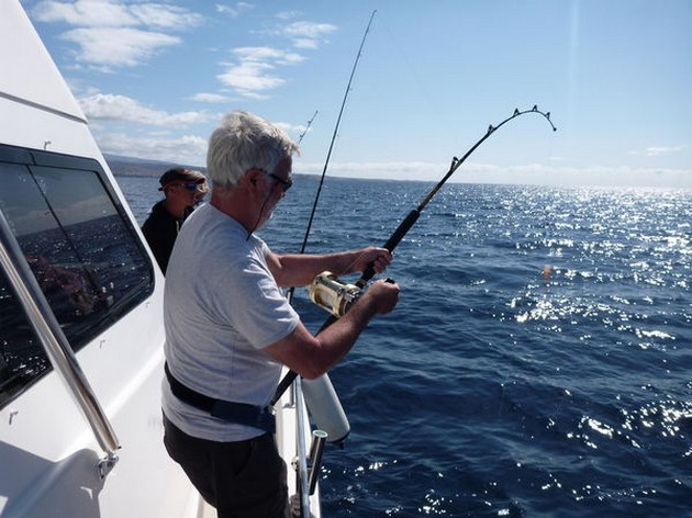 På revet - Cavalier & Blue Marlin Sport Fishing Gran Canaria