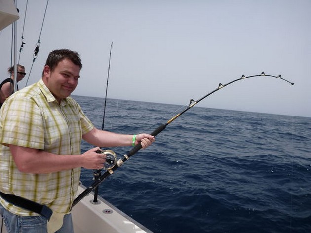 Vanliga stingrays - Cavalier & Blue Marlin Sport Fishing Gran Canaria